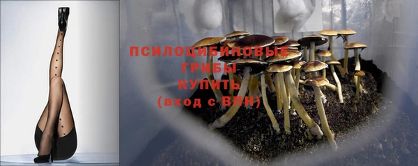 спиды Армянск