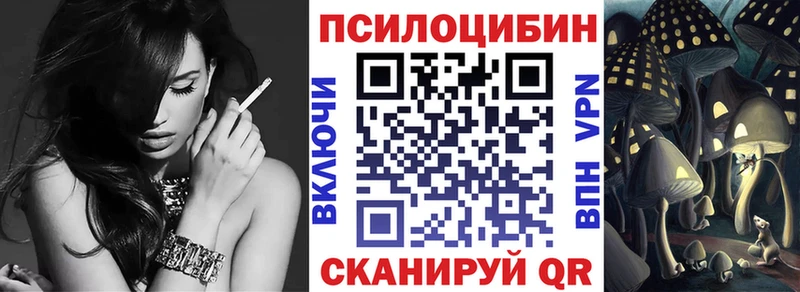 купить наркотики сайты  Бакал  Псилоцибиновые грибы мицелий 